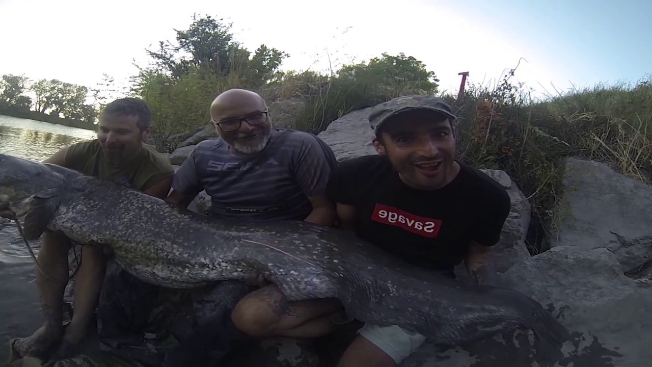 Seika Adventure - I siluri del Rodano - Kayak Fishing