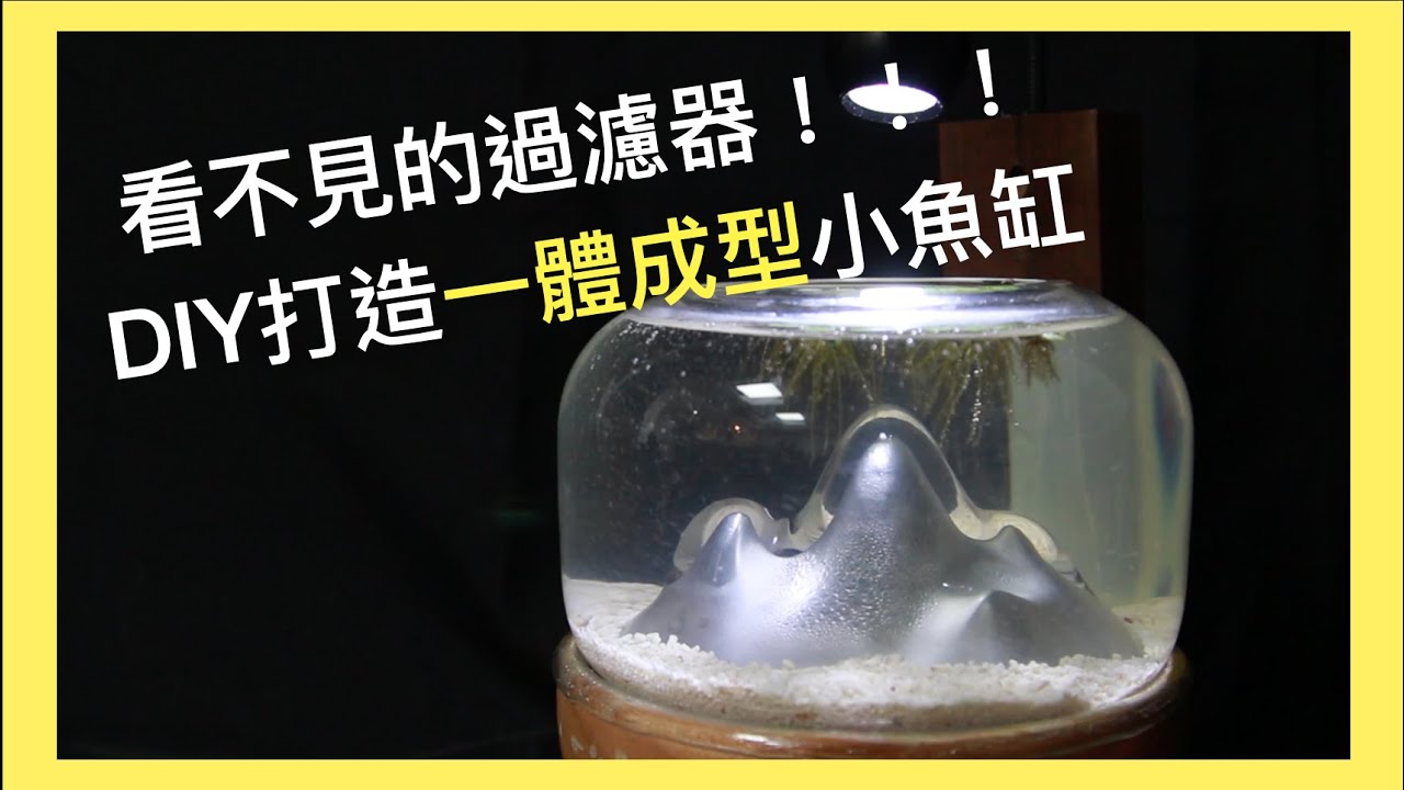 養魚設備改裝 | 如何隱藏過濾器達到一體成型魚缸改裝 | 廢棄造型魚缸華麗變身！養魚改裝改出新高度
