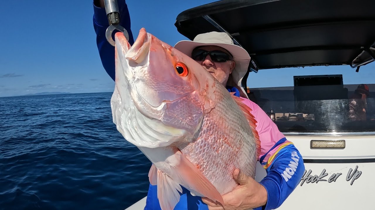 Huge Large Mouth Nannygai Fishing in Townsville QLD | Inshore Hot Bite with Trophy Fish