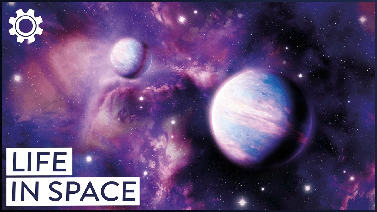 Wonders Of The Universe: Finding Life In Space