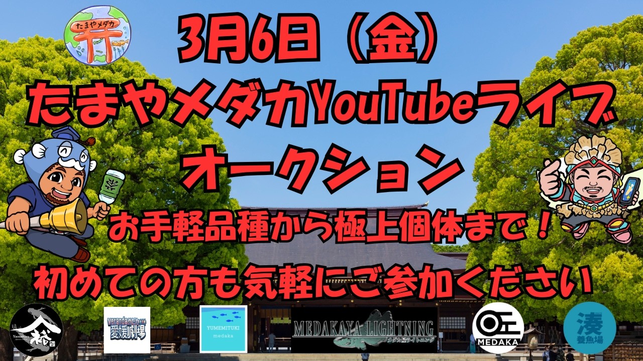 3月6日（金）　ライブオークション