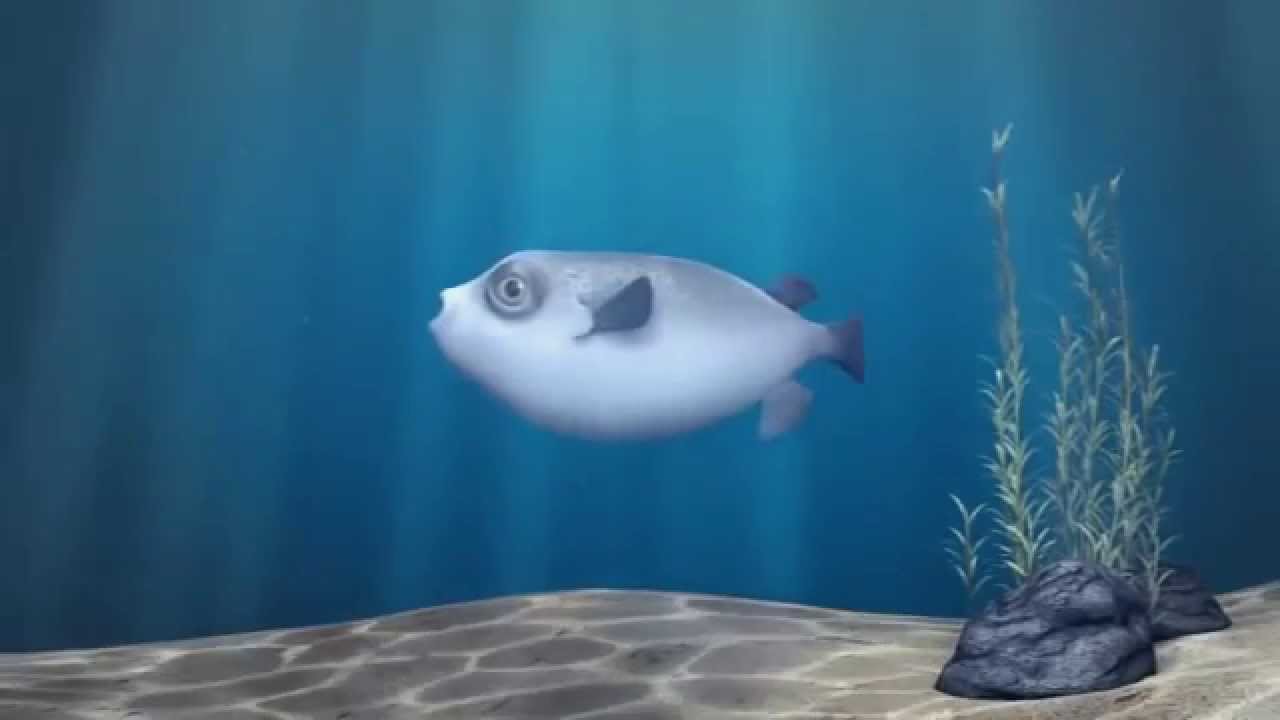 The animated film a case with a small fish. Мультфильм случай с рыбкой