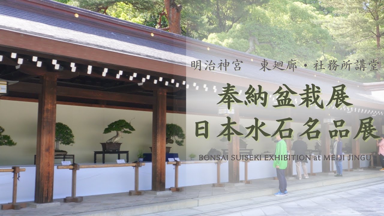 奉納盆栽展・日本水石名品展～明治神宮　東廻廊・社務所講堂～