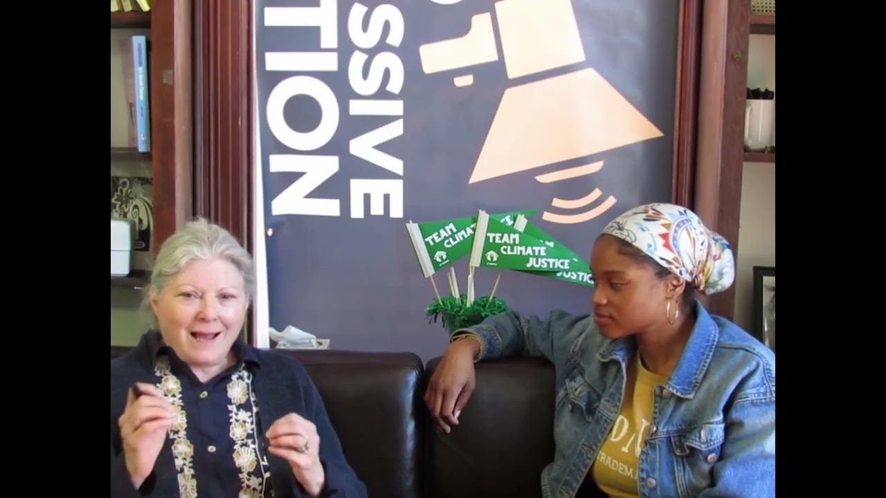 The Founding of Long Island Progressive Coaltion and Organizing On Long Island.