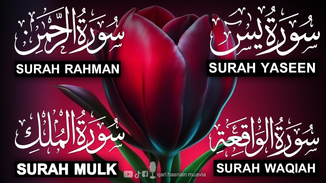 Surah Yasin ❤️ (Makki), Rahman, Waqiah & Mulk | Ep 396 | Daily Quran Recitation & Blessings