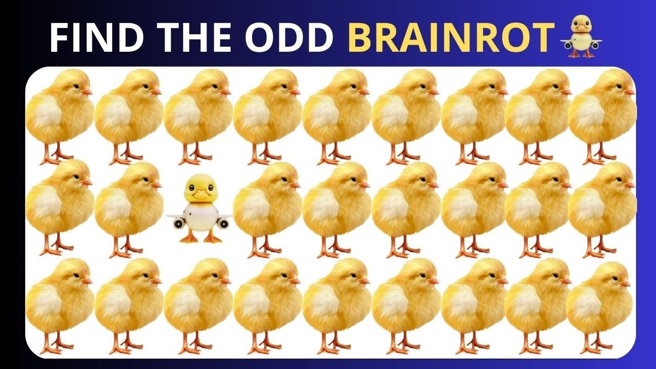 Find the EXTRA - Edition with Brainrot Easy Meddium Hard 15 levels 11 | Quiz 