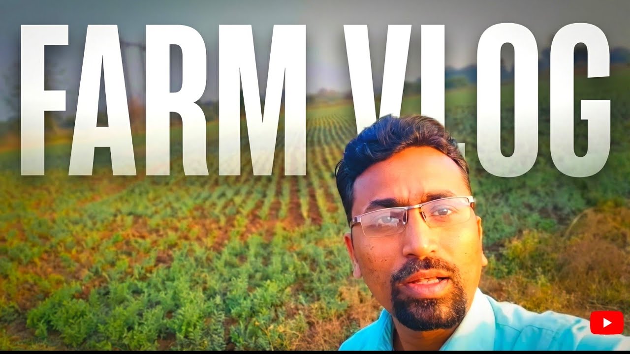 Old Memories ❤️ | My Daily Vlog | Farm & Village Life | My First Vlog 