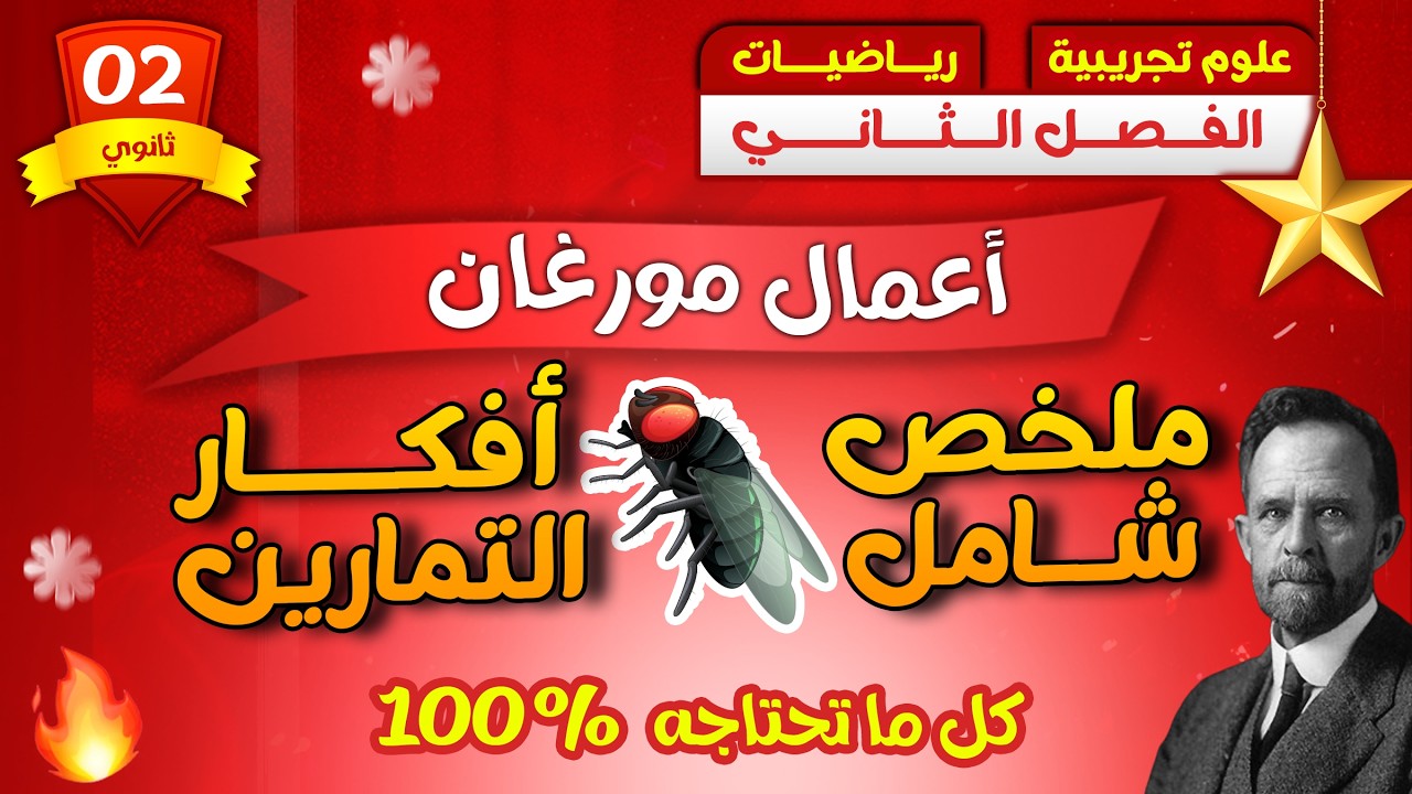 🫢ما م مراجعة قوية للاختبار 💯ملخص أعمال 🪰مورغان🪰 × افكار  التمارين ♡ ثانية ثانوي ♡ 