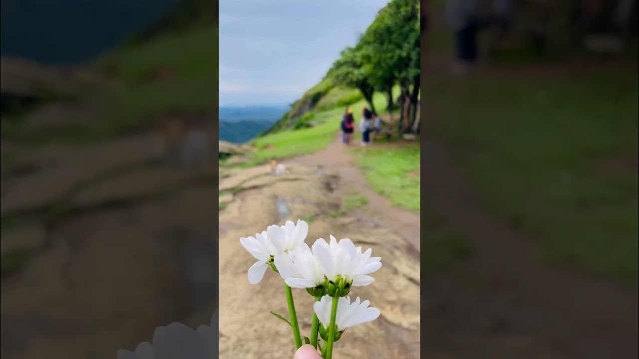 Travel#Hiking#Hulangala#Sri Lanka ❤️🥶🍀