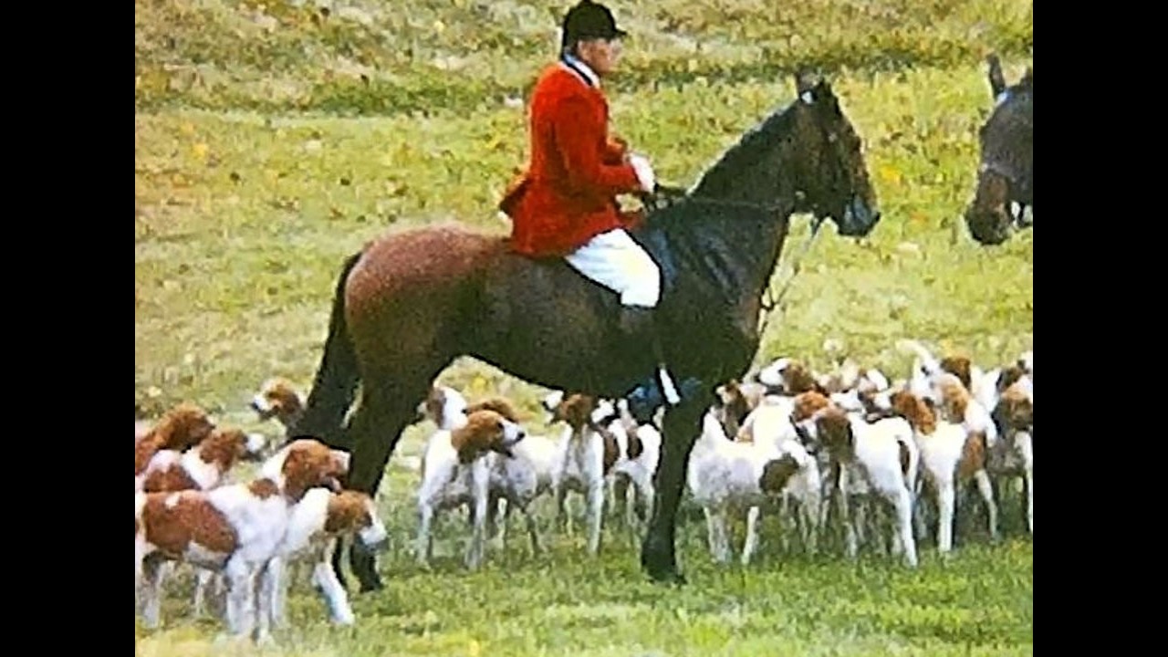 Retro Family Films, Molnar collection, Scouts, hunting with hounds, Easter, jumpers, 1st-10th reels
