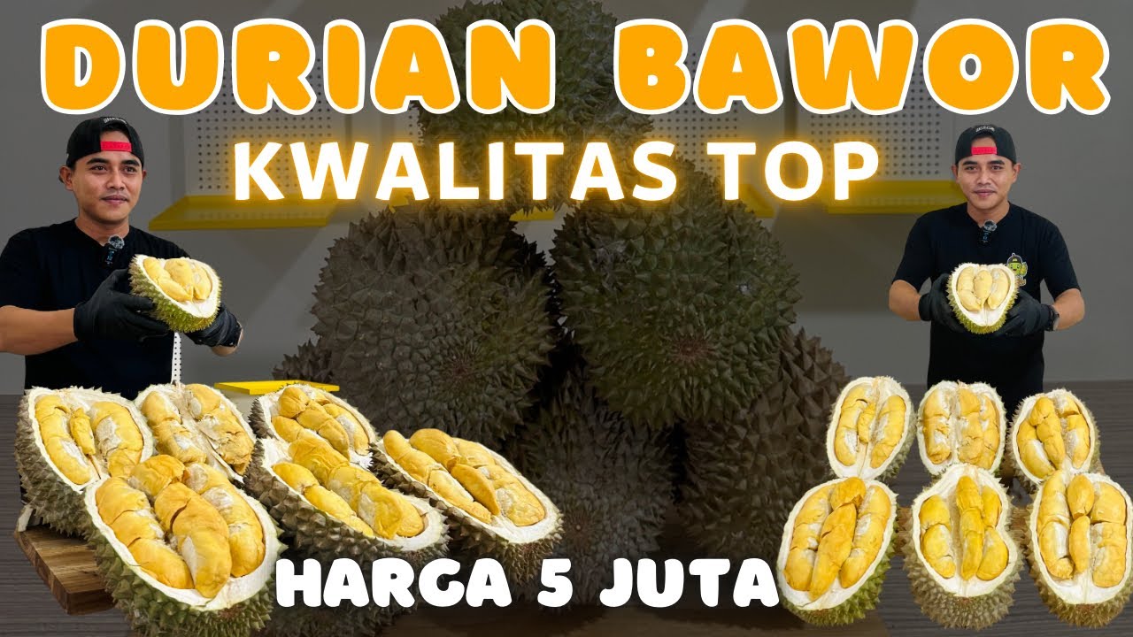 KWALITAS TOP ⁉️ UNBOXING DURIAN BAWOR DARI JAWA TENGAH #durian #durianbawor #masduren