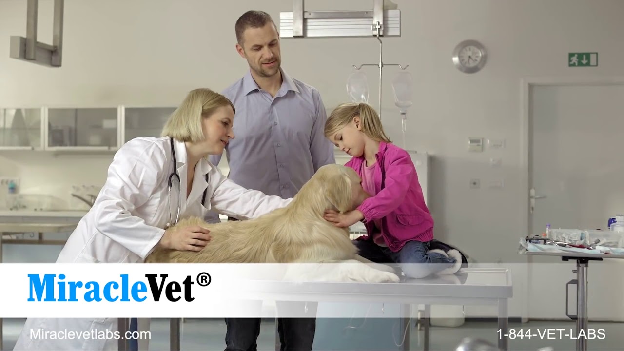 Miracle Vet Weight Gainer for Dogs & Cats