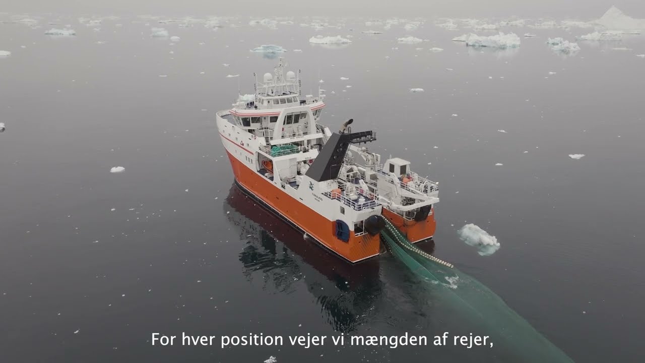 Rejetogt med Tarajoq