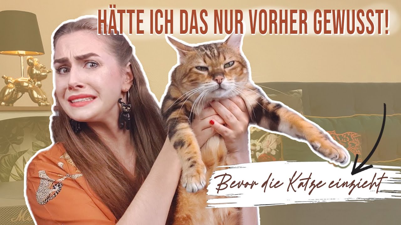 Top 10 Dinge, die du wissen solltest, BEVOR du eine Katze adoptierst / Katzenfakten