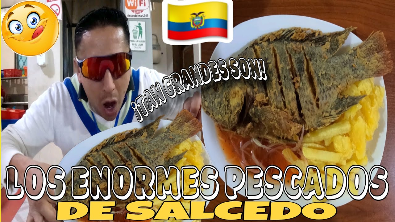 Estos son los PESCADOS GIGANTES de SALCEDO ¡Hecho a Leña! | COTOPAXI-ECUADOR🇪🇨 : Ferchito Aventura