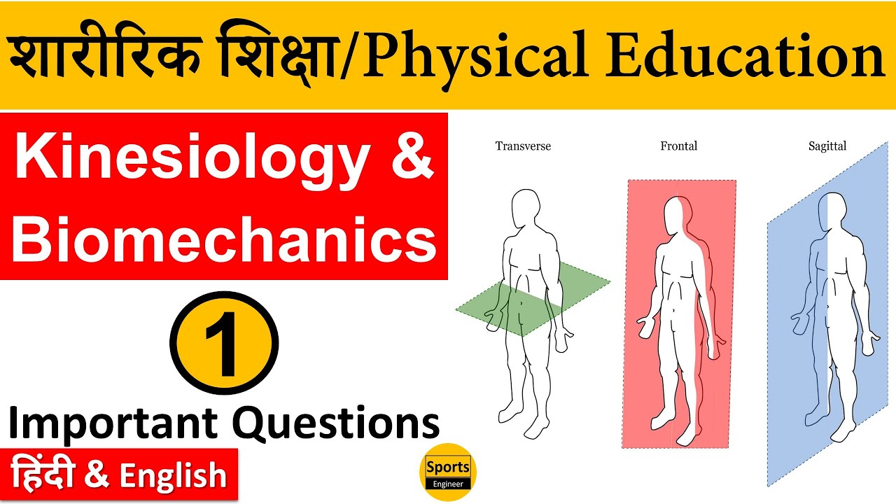 Kinesiology & Biomechanics {Part-1} Physical Education MCQs by Sports Engineer
