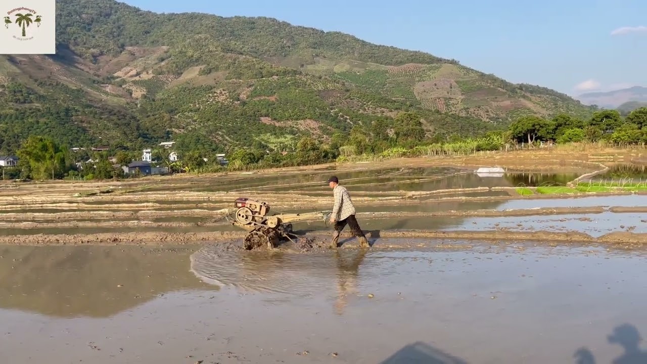 @Quê hương tôi-hoong dồm-mường hung-sông mã-sl.