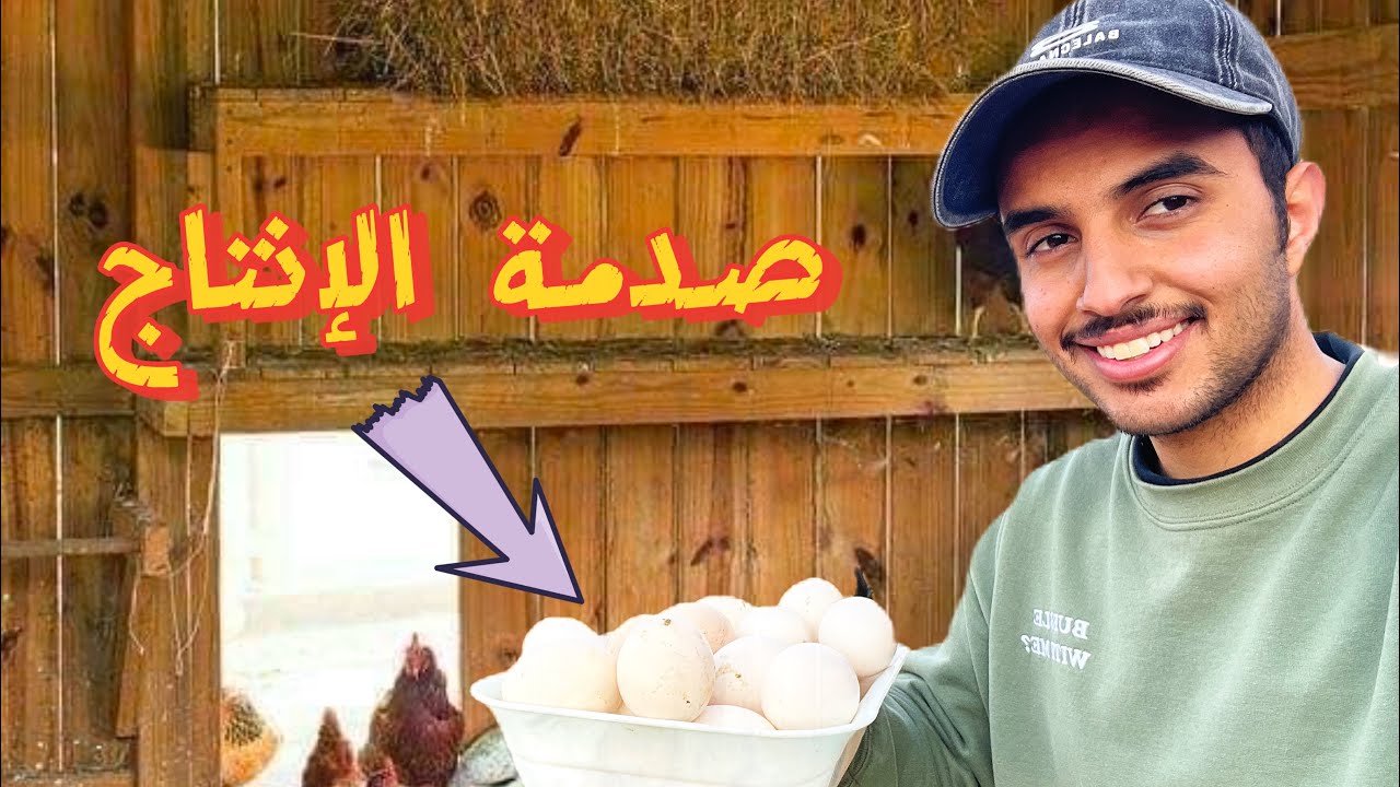 أقوى إنتاج بيض صار عندي بالمزرعة 🥚🔥 شوفوا الكمية