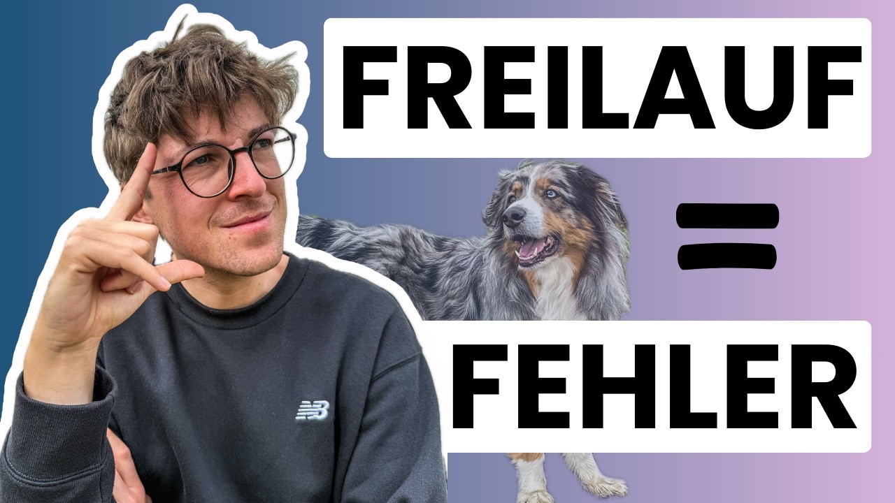 ⚠️ Leinenführigkeit klappt nicht? Darum solltest du ständigen Freilauf vermeiden!