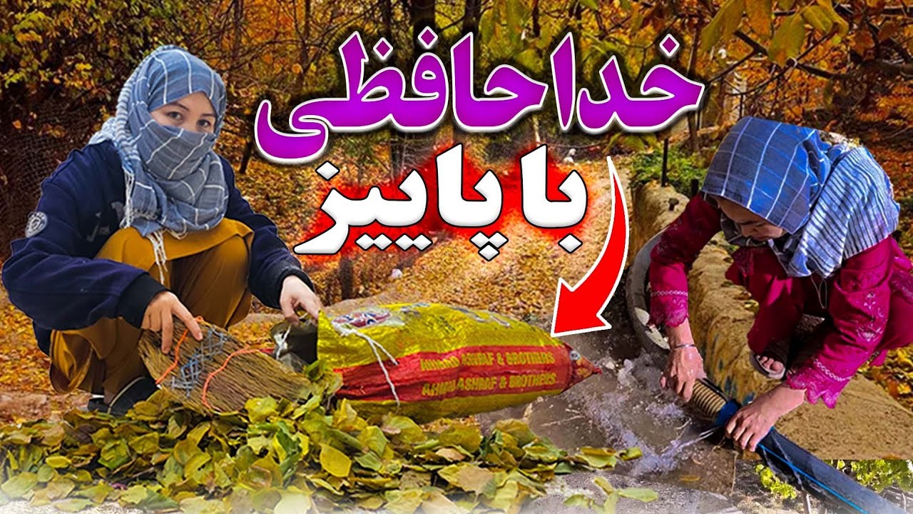 فصل پاییز وزیبایی های آن |کارهای روزمره گی فصل پاییز#ولاگ#کلیپ#villagefood#village#