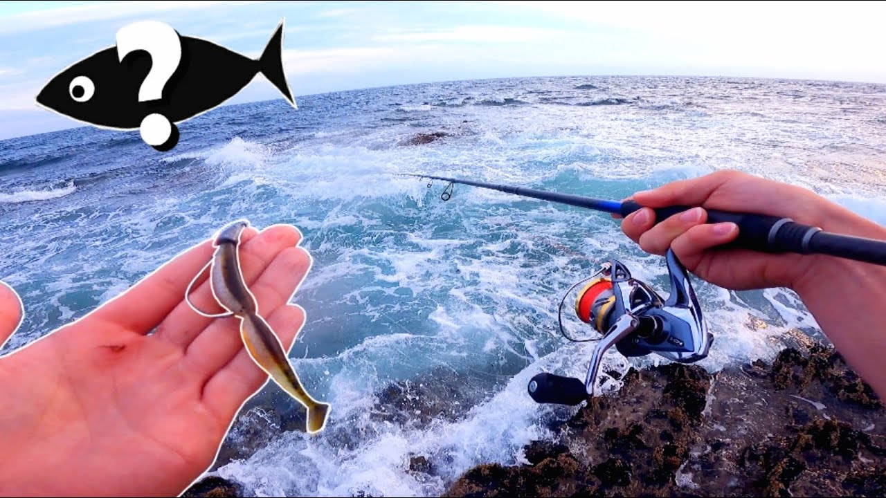 Je ne m'attendais pas a pêcher un tel poisson ICI !!! Pêche hors du commun du bord de mer au leurre