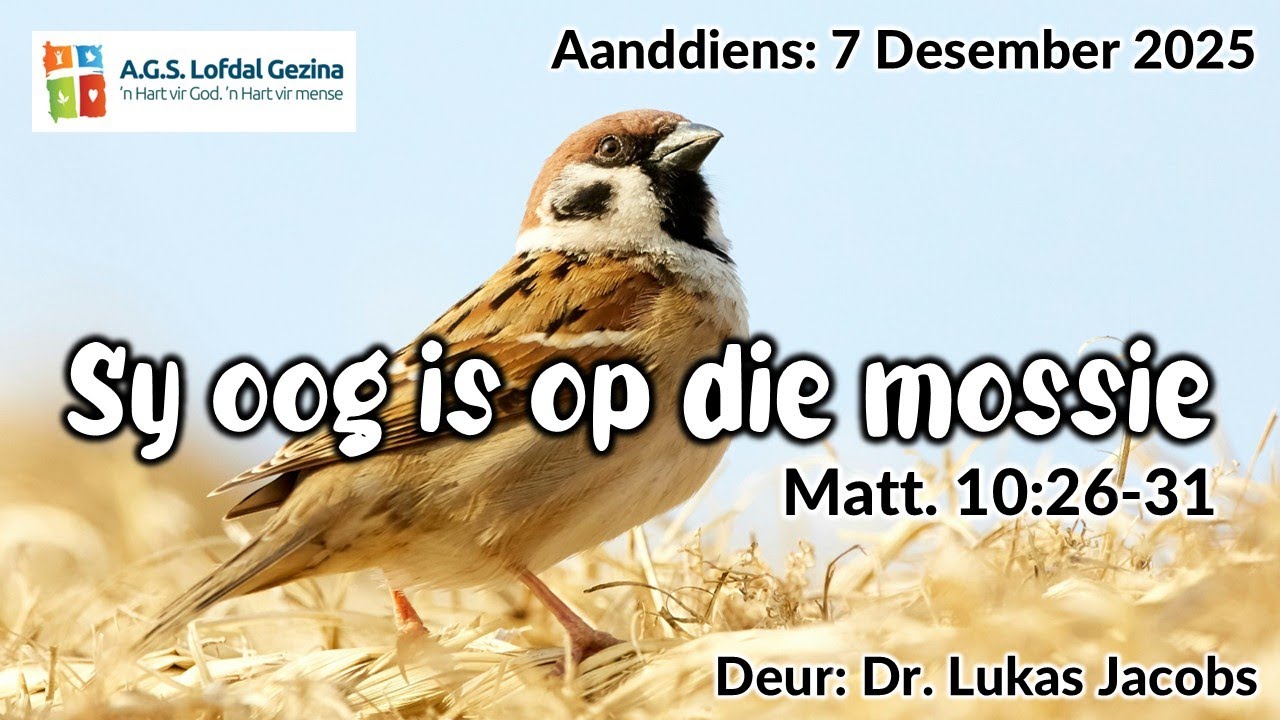 Aanddiens: Sy oog is op die mossie. Matt. 10:26-31. Deur Dr. Lukas Jacobs. 7 Desember 2025.