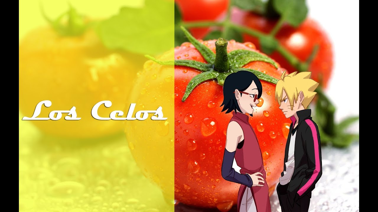 Los Celos/ BoruSara Doujinshi