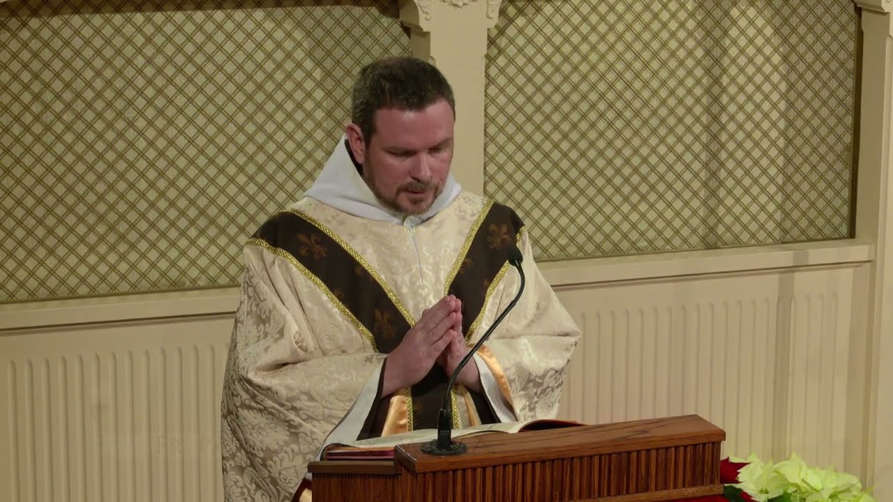 Readings and Homily - 2026-01-03 - Fr. Patrick