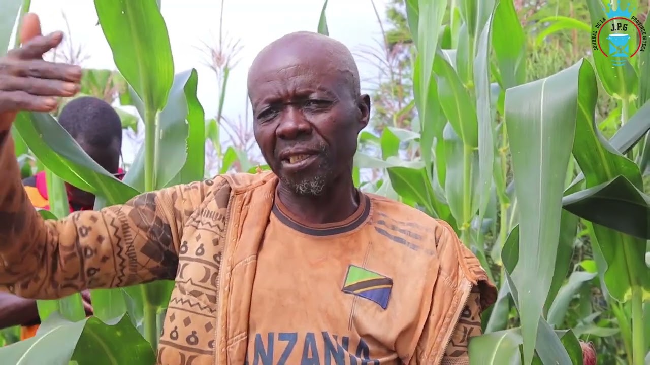 #Gitega :#One_Acre_Fund_Tubura yaragendeye abarimyi bayo mu zone Murenda