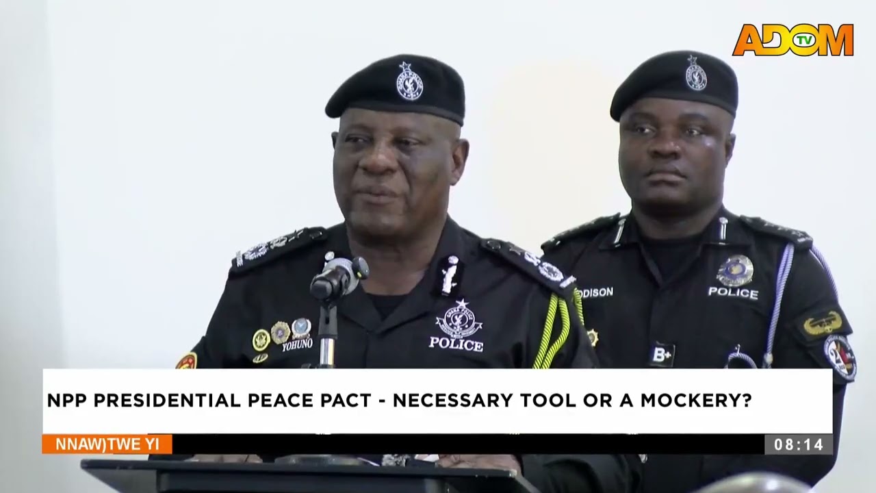 NPP Presidential Peace Pact: Necessary tool or a mockery - Nnawotwe Yi on Adom TV (24-01-25)