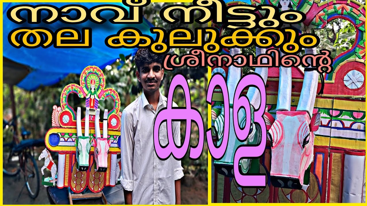 നാവു നീട്ടും തല കുലുക്കും ശ്രീനാഥിന്റെ കാള 😍🌟💥