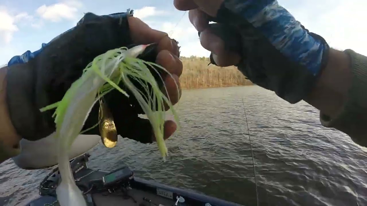 Slow rolling a spinnerbait in cold water for BIG bass