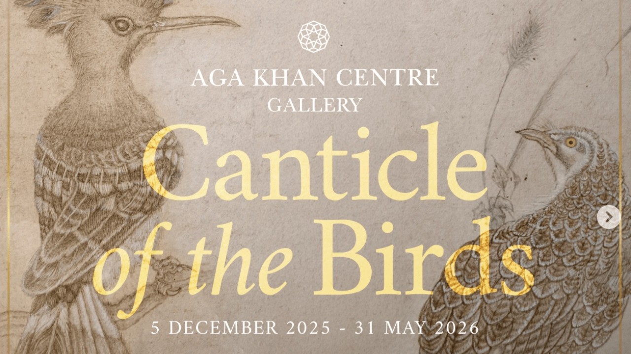 Виртуальная экскурсия – Выставка «Песнь птиц»