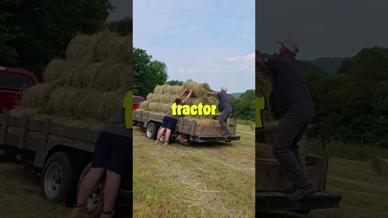 Round Bale vs Square Bale Hay