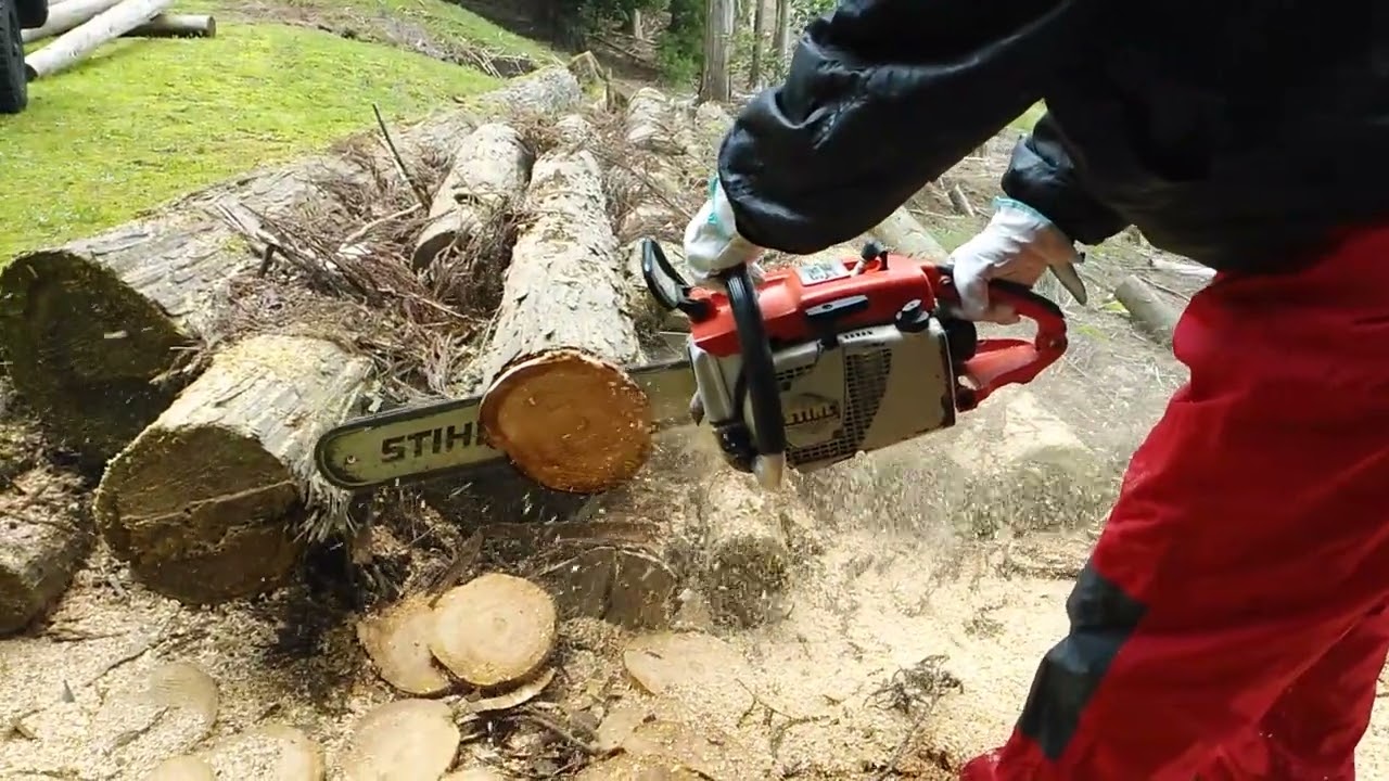 STIHL031AVS-1　BIG CARBURETOR　仕様の試し切りしました。