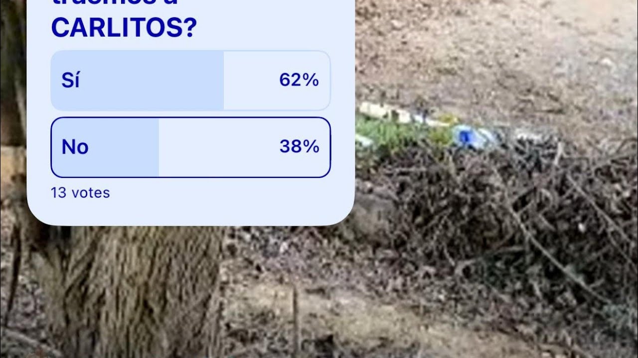 TRANSMITE LAS PILAS LA DANTA