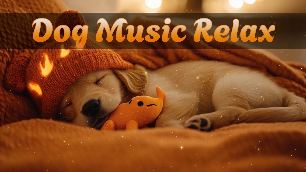 Музыка для сна и расслабления собак 🐶 | 8 часов антистресс терапии | No Ads