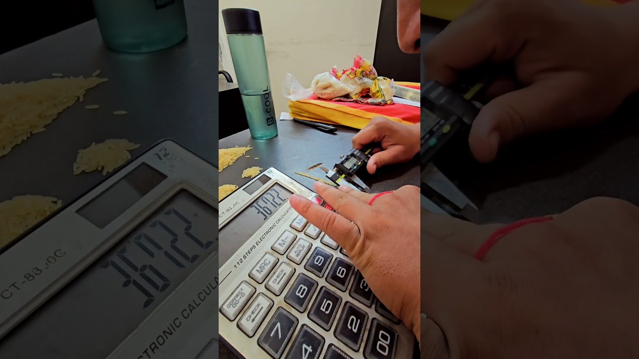 Rice Length Checking Celiper #quality  #viralvideo #basmatiricemeasuremenet #views #reels #trending