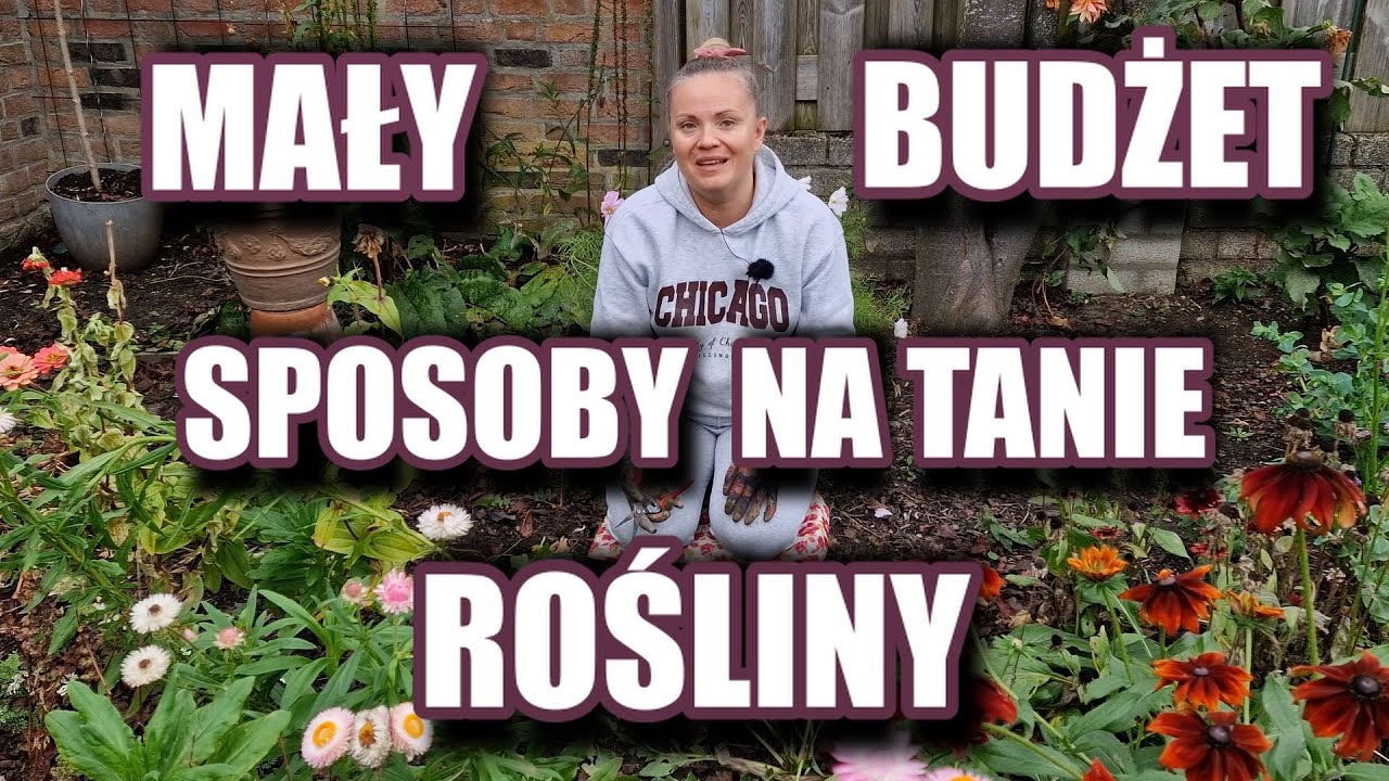 Jak stworzyć piękne rabaty niskim kosztem 🌿 Mój sposób na ogród bez wydawania fortuny