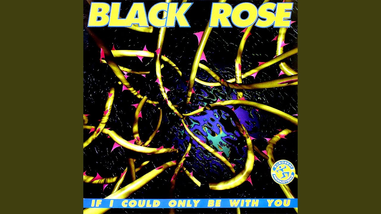 If I Could Only Be with You (Euro Mix)