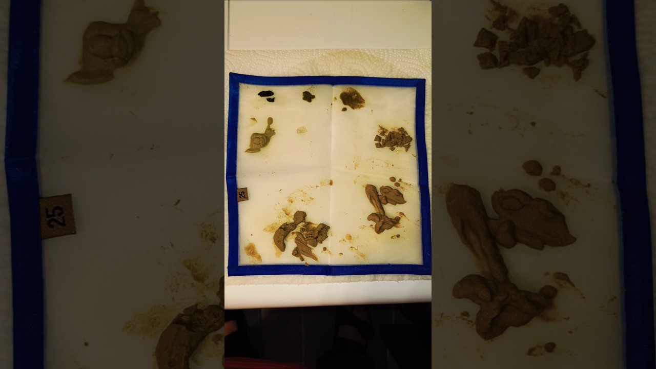 BUBBLE HASH selber machen 🍫😋 #bubblehash #cannabis #haschselbermachen #weed #diy #bubblebag #420