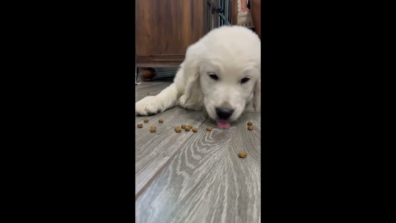 Walter Eating