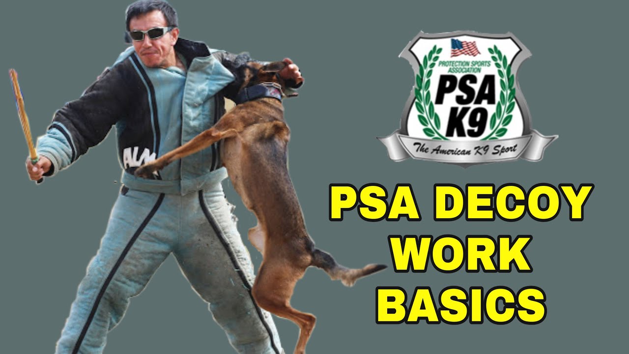 PSA Decoy Work Basics