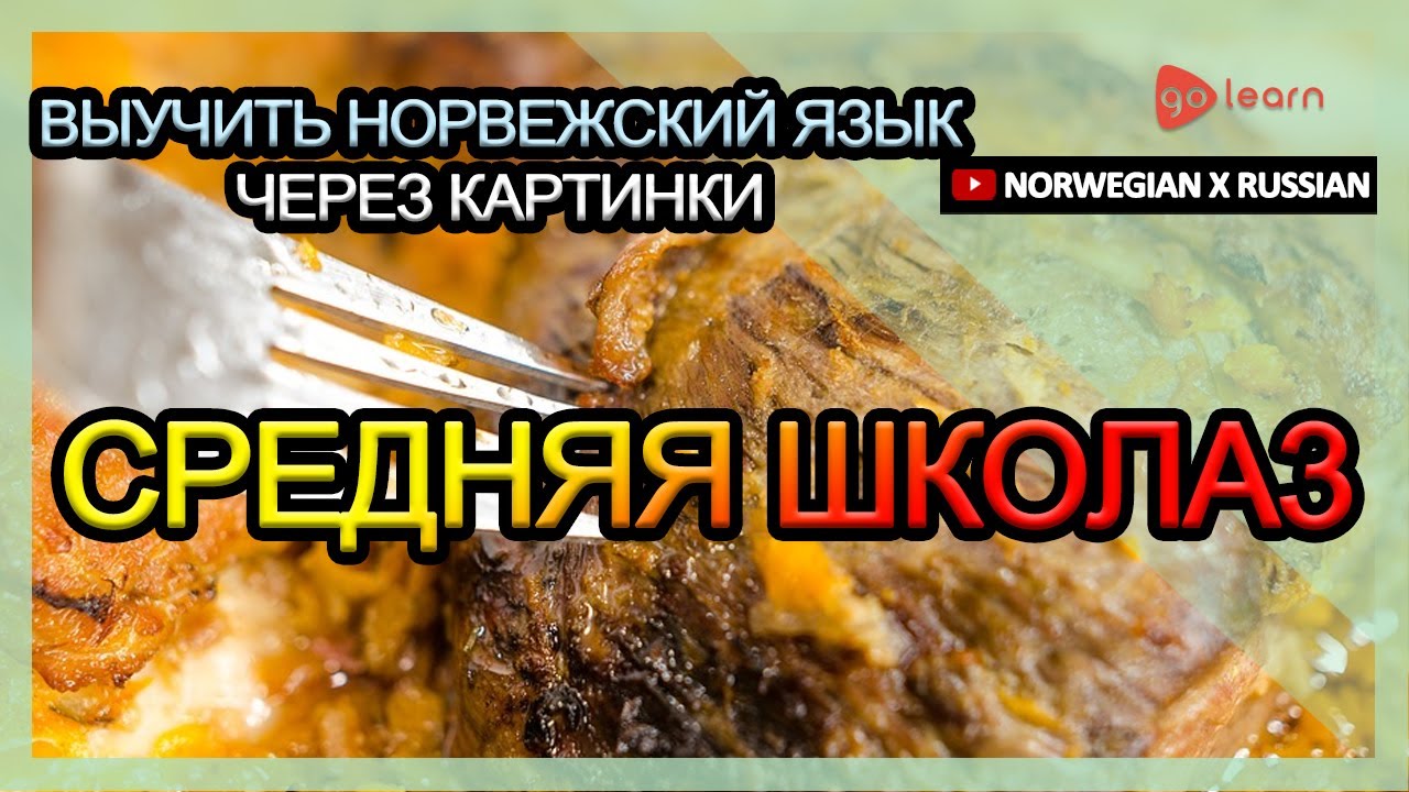 Выучить норвежский язык через картинки |норвежский язык словарь средняя школа3 | Golearn