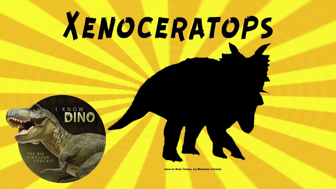 Xenoceratops: Dinosaur of the Day