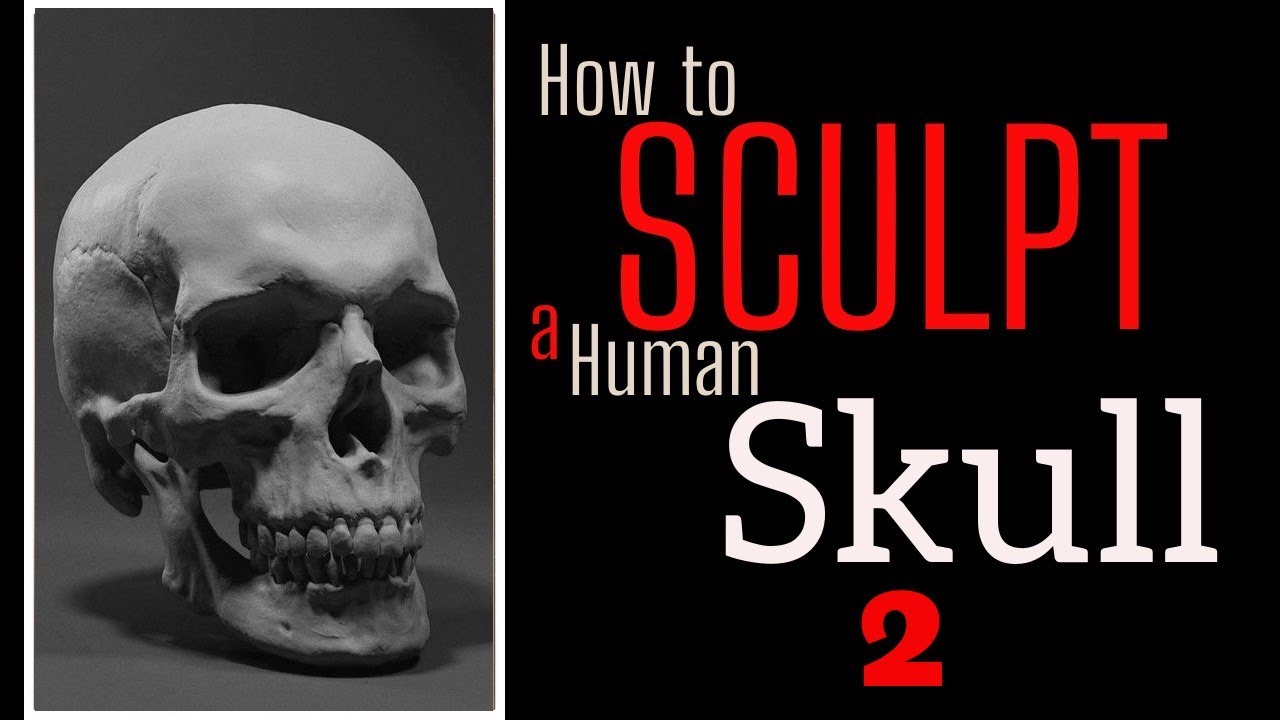 How to sculpt a Human Skull, part 2/2