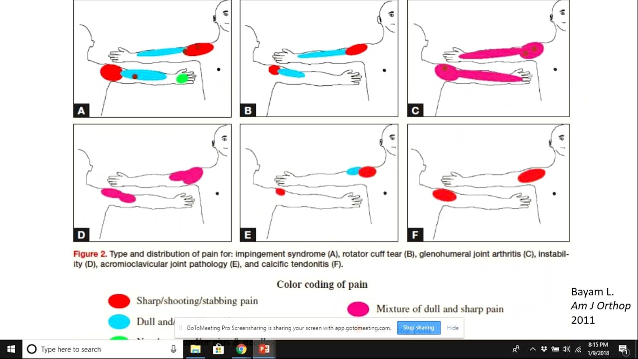 The Shoulder Symptom Modification and Other Diagnostic Tools