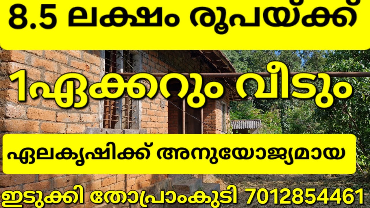 1ഏക്കറും വീടും 8.5 ലക്ഷം രൂപയ്ക്ക്. ഏലകൃഷിക്ക് അനുയോജ്യം.ഇടുക്കി തോപ്രാംകുടി 7012854461