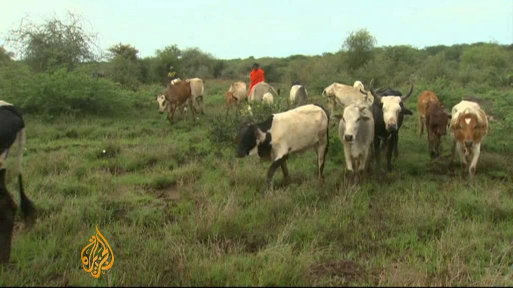 Kenyan farmers fighting over scarce land