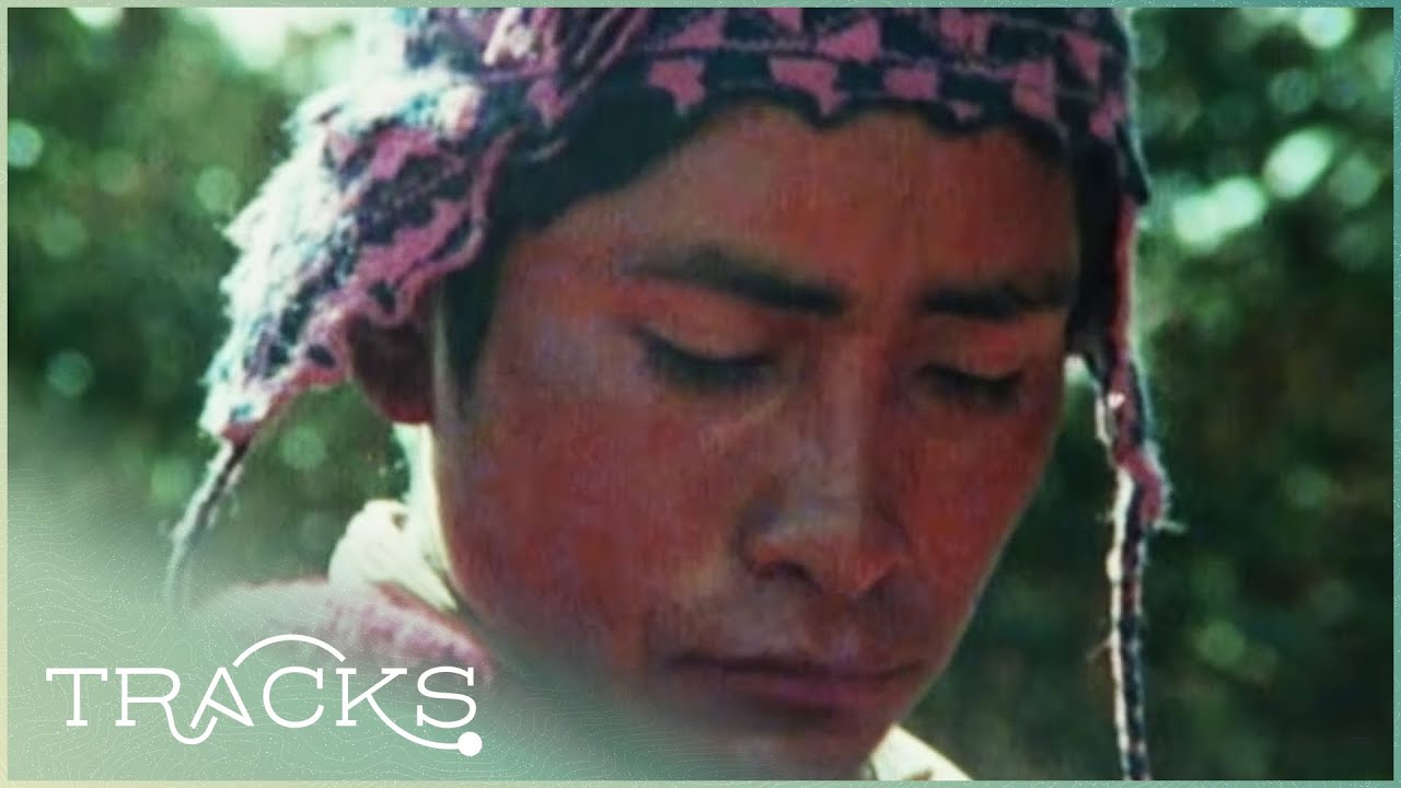 The Quechua: How To Modernise A Tribe | Disappearing World | TRACKS